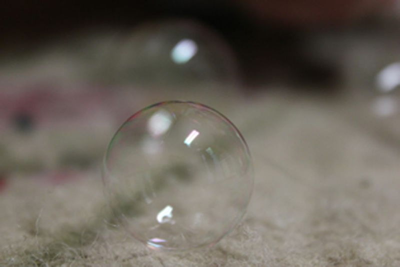 Illustration for article titled Shooting Challenge: Bokeh, Gallery 5
